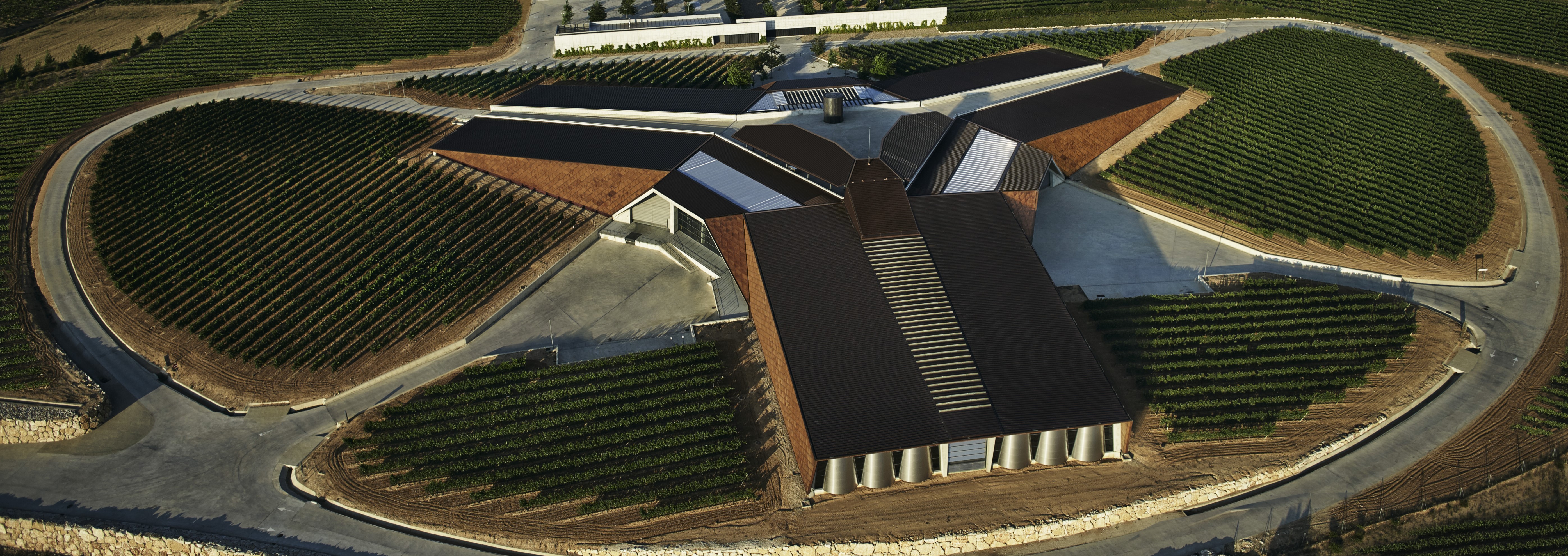 imagen de la actividad