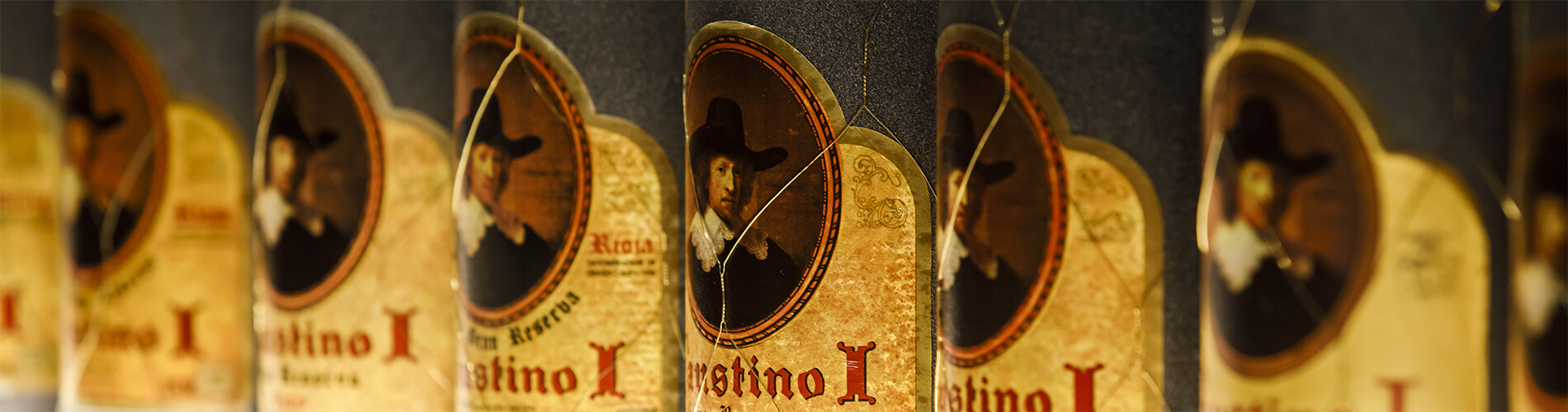 imagen de la actividad