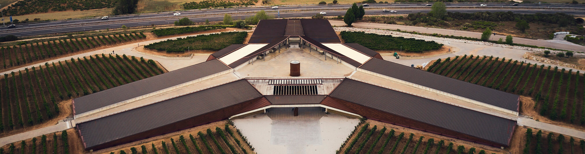 imagen de la actividad