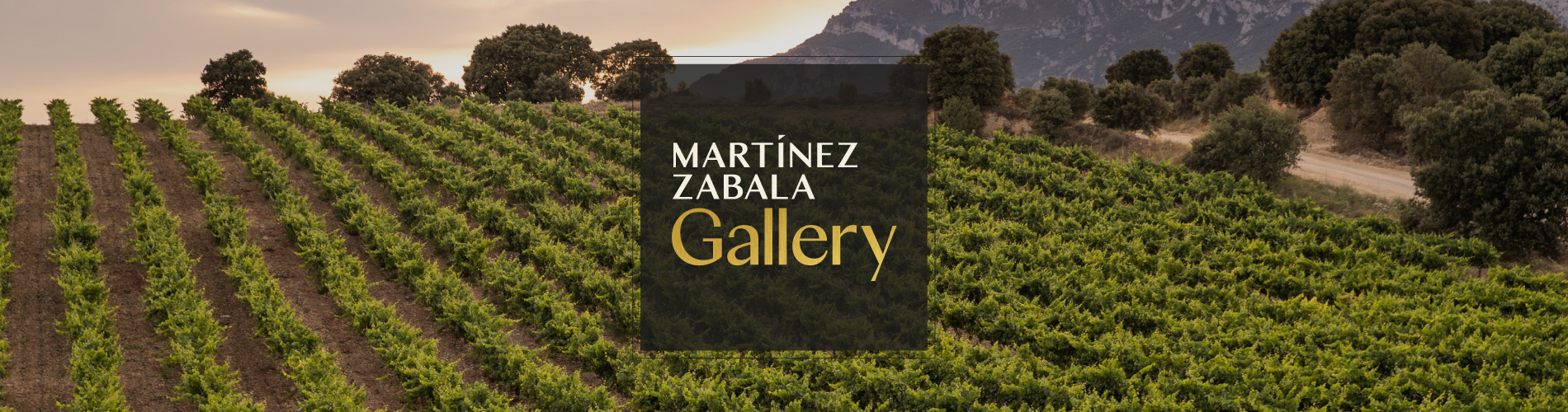 imagen de la actividad