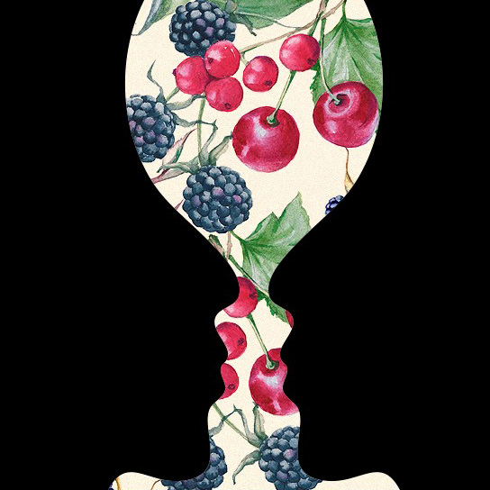 imagen de la actividad