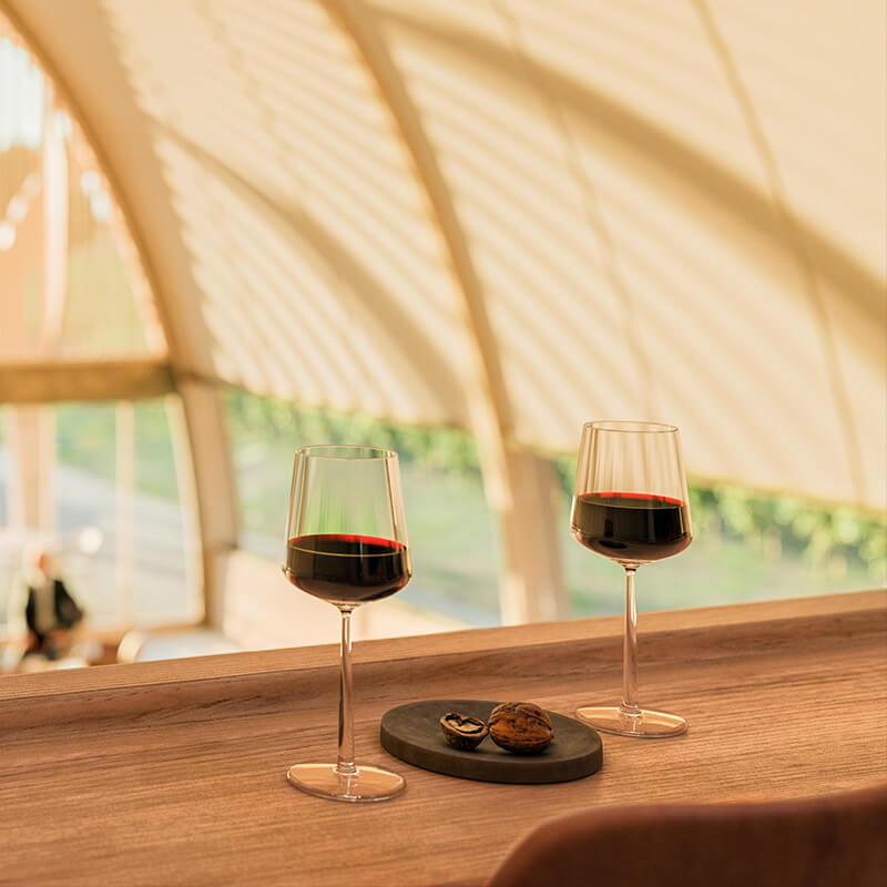 imagen de la actividad