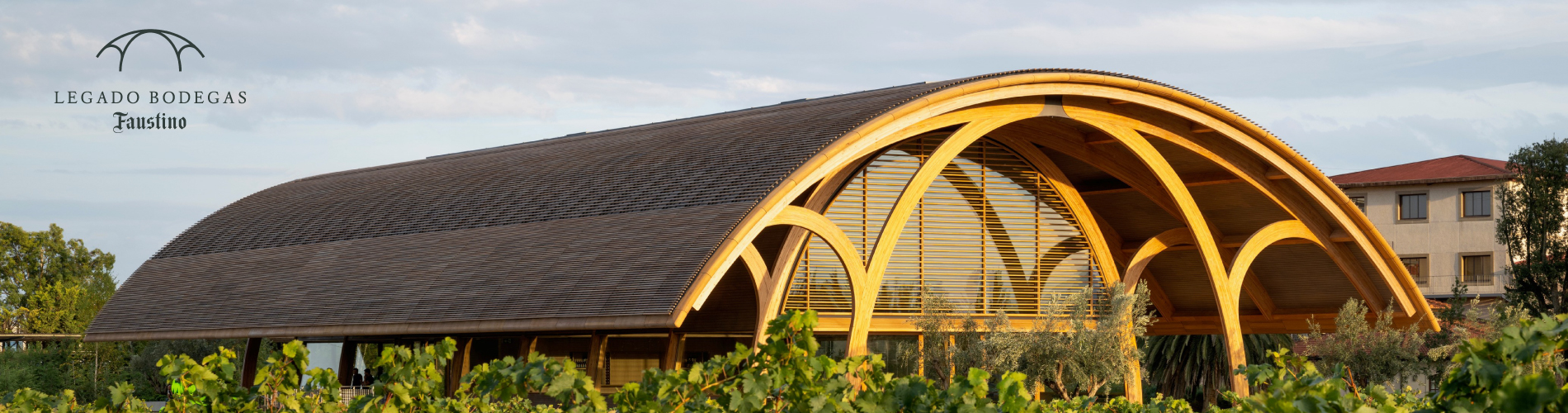 imagen de la actividad