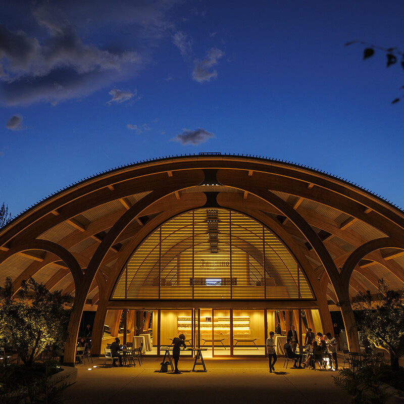 imagen de la actividad