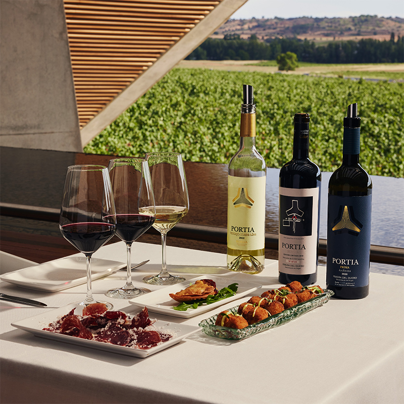 imagen de la actividad